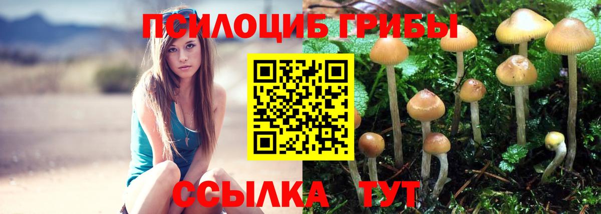 Ковров  Псилоцибиновые грибы мухоморы  Вход с VPN 